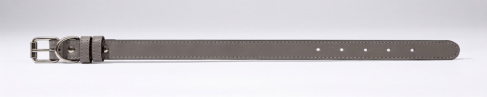 Leather Pet Collar (Engraving)