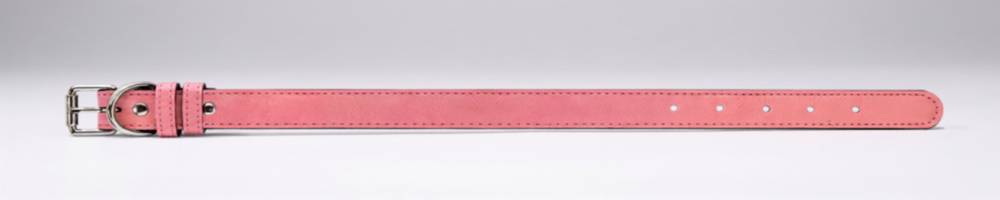 Leather Pet Collar (Engraving)