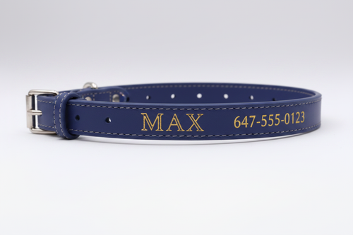 Leather Pet Collar (Engraving)